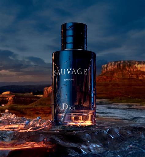 dior sauvage recenzija|sauvage by Dior cologne.